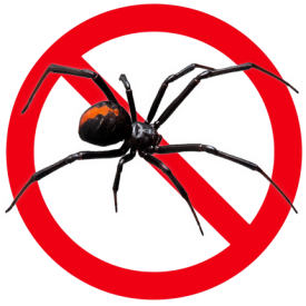 Black widow spider overlaid with red prohibited symbol indicating exclusion.