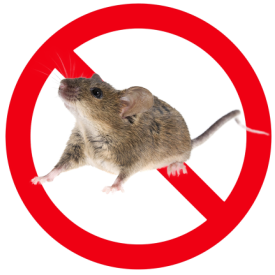 House Mouse Image with a Red Prohibited Symbol
