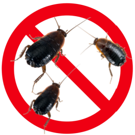 Oriental cockroach overlaid with red prohibited symbol indicating exclusion.
