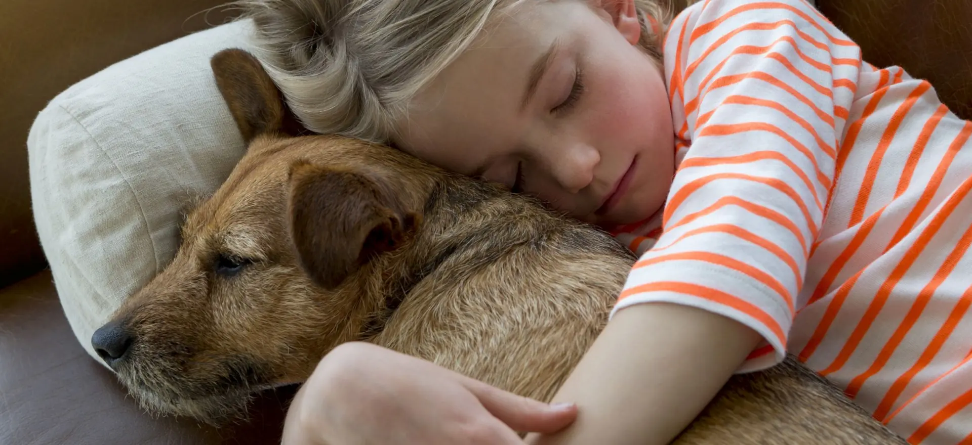 Child sleeping beside dog on couch, indoor residential setting.