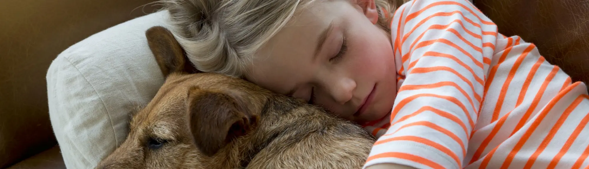 Child sleeping beside dog on couch, indoor residential setting.