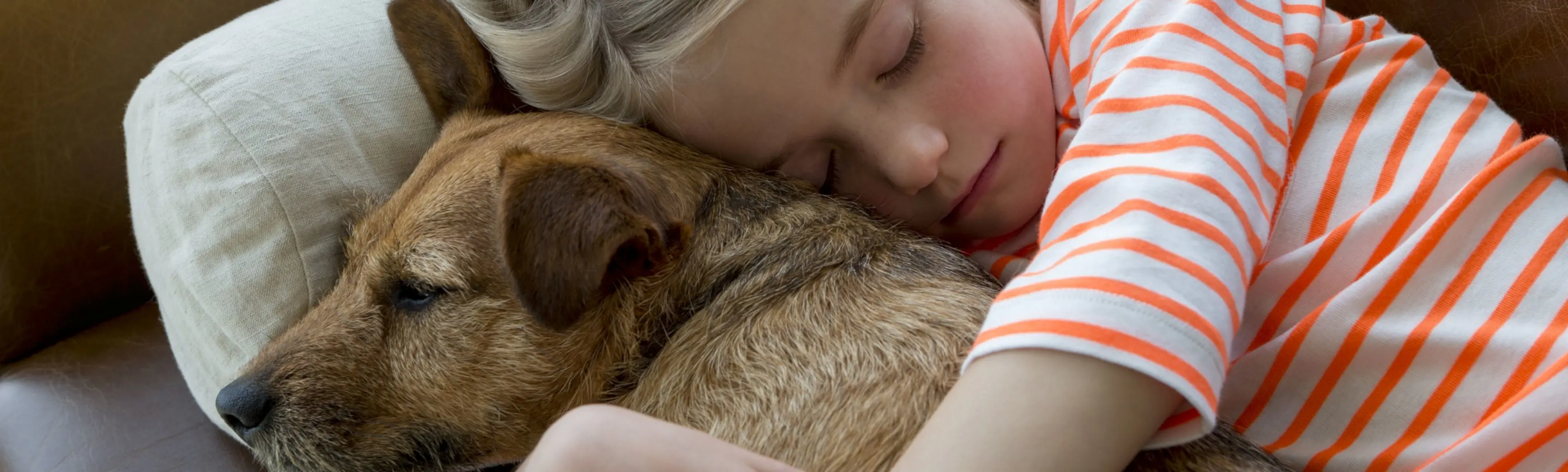 Child sleeping beside dog on couch, indoor residential setting.